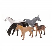 Animal World: Vilde heste, 5 pack,