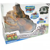 Real Wild Giant Spider