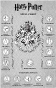 Harry Potter Wizard Træning Wand