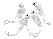 Skelet hvid 4-pak