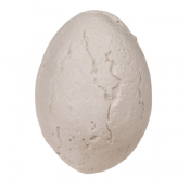 Dinosaur Udgravningssæt