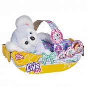 Interaktive Koala -udstoppede dyr, små levende kæledyr Hyggeligt dozy