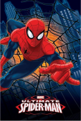 Spiderman tæppe velegnet til både små og store!