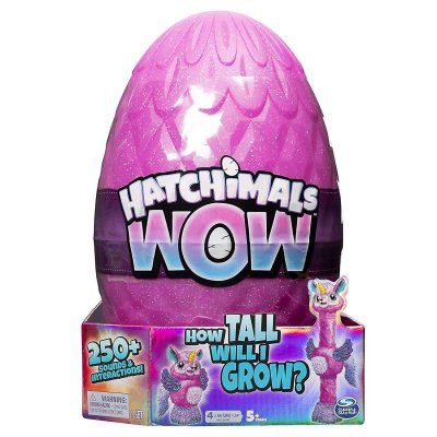 Hatchimals WOW