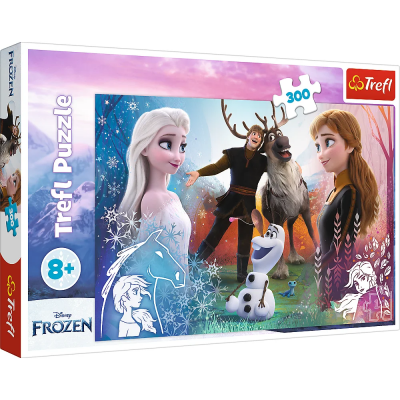 Puslespil 300 Brikker - Magic Time Disney Frost