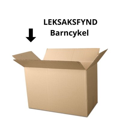 Fyndbox Frost Børn Cykel 10 tommer med støttehjul og cykel bar